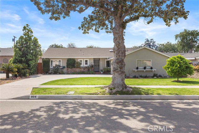 Front Image Thumbnail for CRPW26031693