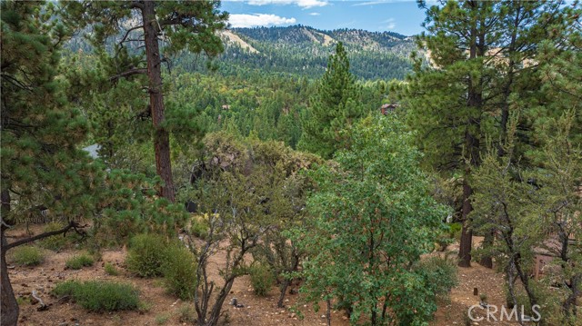 Detail Gallery Image 21 of 26 For 43805 Colusa Dr, Big Bear Lake,  CA 92315 - – Beds | – Baths