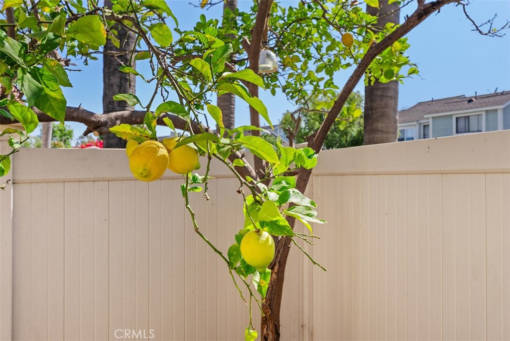 https://media.crmls.org/medias/361aec80-01e3-4cc2-a517-a9107fbd38af.jpg?preset=X-Large