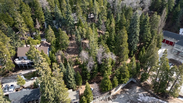 Detail Gallery Image 4 of 19 For 277 Snow Flower Ln, Lake Arrowhead,  CA 92352 - – Beds | – Baths