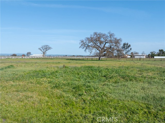 Detail Gallery Image 8 of 48 For 3870 Buena Vista Dr, Paso Robles,  CA 93446 - 3 Beds | 2 Baths
