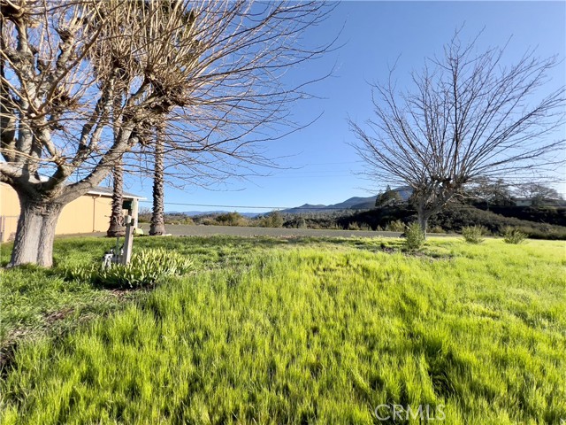 7435 Live Oak Drive, Kelseyville, California 95451, 3 Bedrooms Bedrooms, ,2 BathroomsBathrooms,Residential,For Sale,7435 Live Oak Drive,CRLC24044842