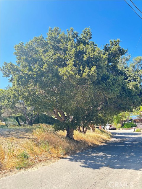 Image 2 of 4 For 0 Verdale  