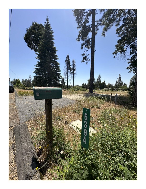 Magalia, CA 95954