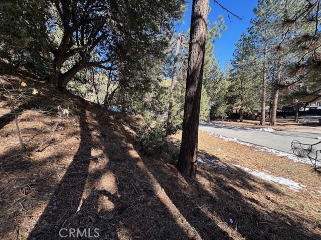 Detail Gallery Image 7 of 11 For 0 Flume Canyon, Wrightwood,  CA 92397 - – Beds | – Baths