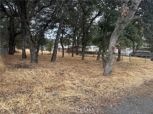 Detail Gallery Image 2 of 2 For 16162 19th Ave, Clearlake,  CA 95422 - – Beds | – Baths