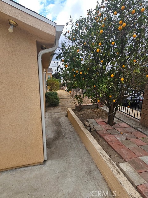 10558 Langmuir Avenue, Sunland CA: https://media.crmls.org/medias/362df29f-775b-4fa3-b901-42e82bb25d04.jpg