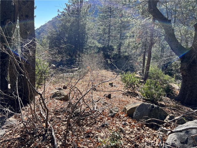 Detail Gallery Image 17 of 18 For 0 Ca-38, Angelus Oaks,  CA 92305 - – Beds | – Baths