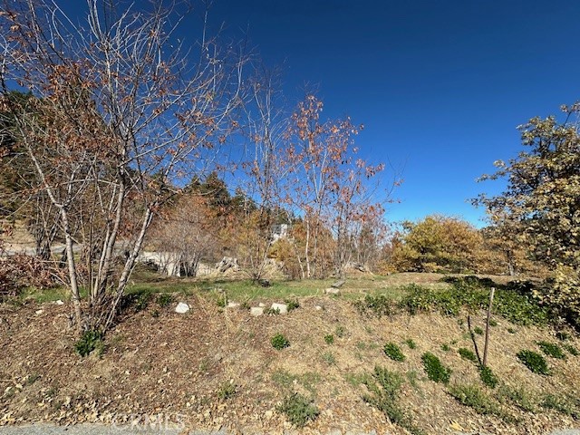 Detail Gallery Image 4 of 31 For 2379 Chicago Dr, Running Springs,  CA 92382 - – Beds | – Baths