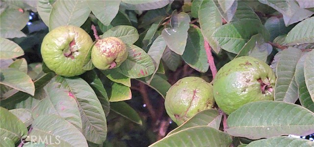 Detail Gallery Image 24 of 41 For 10181 Larson Ave, Garden Grove,  CA 92843 - 4 Beds | 4 Baths