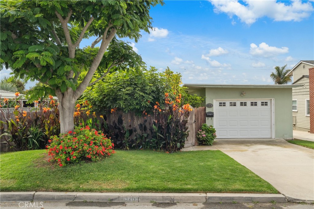 3764 Paloma Drive