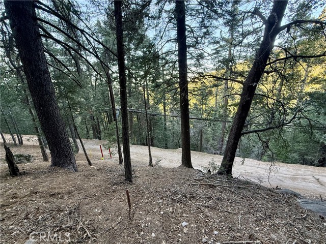 Detail Gallery Image 13 of 25 For 0 Scenic View, Crestline,  CA 92325 - – Beds | – Baths