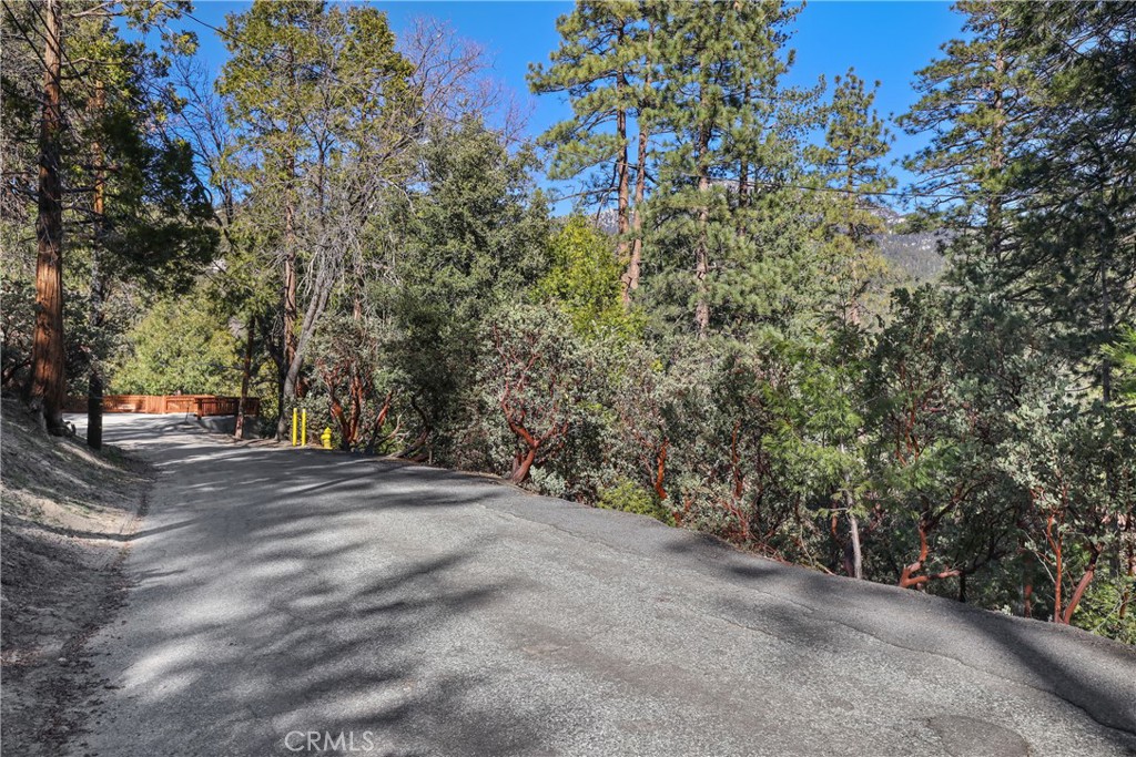 0 Lakeview Dr, Idyllwild, CA 92549
