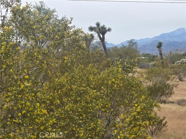 Detail Gallery Image 5 of 6 For 7414 Alaba, Yucca Valley,  CA 92284 - – Beds | – Baths