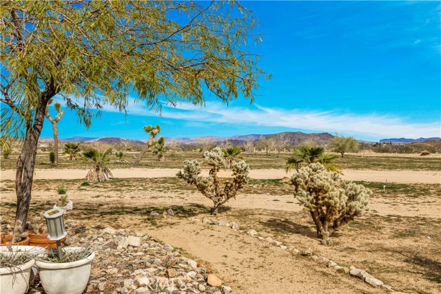 Detail Gallery Image 33 of 50 For 492 Surrey Ave, Landers,  CA 92284 - 3 Beds | 2 Baths