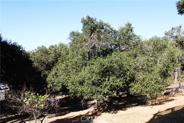 Detail Gallery Image 44 of 47 For 3700 Arena Rd, Atascadero,  CA 93422 - 4 Beds | 2/1 Baths