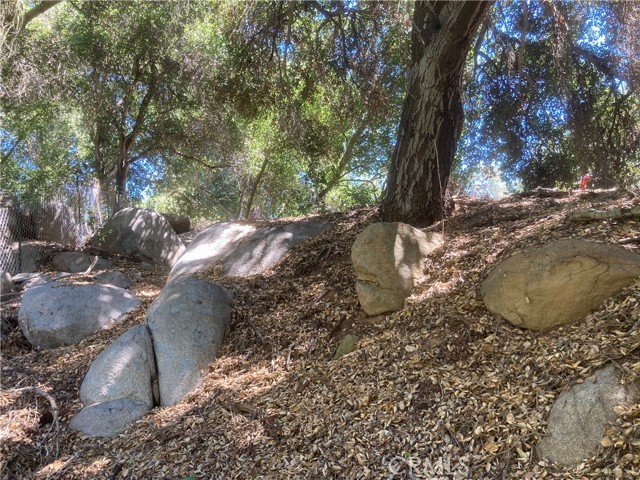 MLS# SW23165697