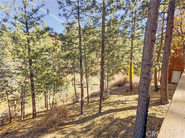 Detail Gallery Image 51 of 57 For 1200 Minton Dr, Big Bear City,  CA 92314 - 3 Beds | 2 Baths