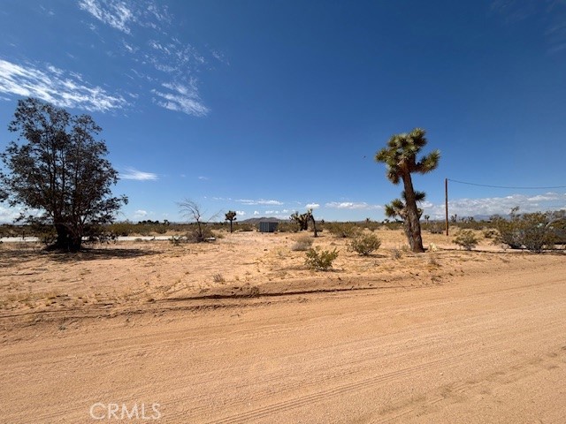MLS #JT25102656 image #6