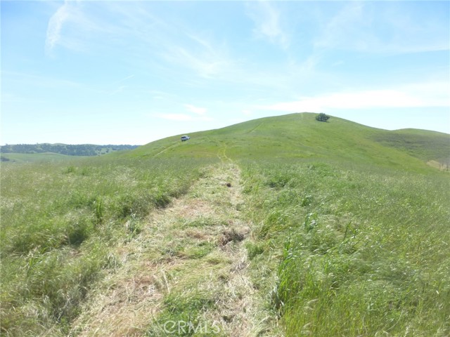 Detail Gallery Image 32 of 75 For 0 Douglas Rd. (Lots 28, 33 & 34), San Miguel,  CA 93451 - – Beds | – Baths