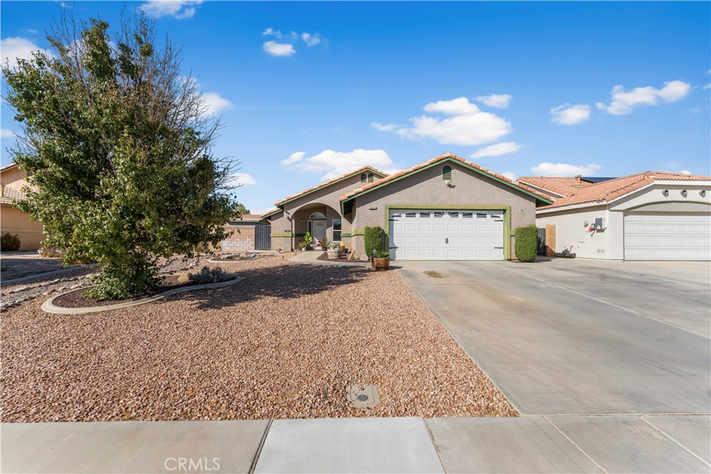 3325 Poplar