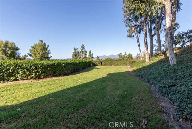 36674c10 C02a 4ece 9d2c 814317c968d5