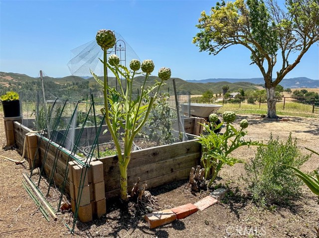 7491 Kingsbury Road, Templeton CA: https://media.crmls.org/medias/3669c8c1-5123-4782-9d19-6d76adbd94ce.jpg