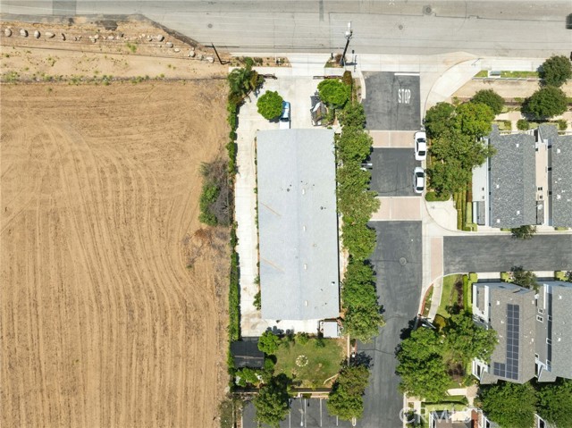 3595 Buchanan Street, Riverside CA: https://media.crmls.org/medias/366e8885-1e3d-4b25-a121-73fe916959af.jpg