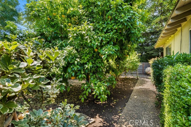 Detail Gallery Image 37 of 59 For 5375 Nord Hwy, Chico,  CA 95973 - 3 Beds | 2 Baths