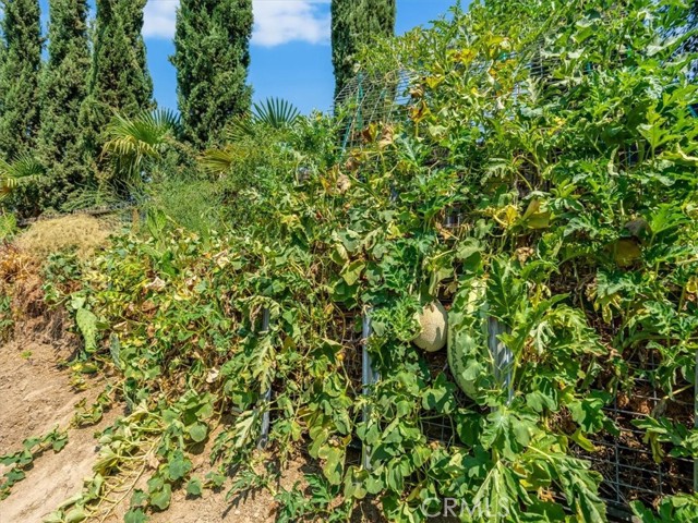 104 W Mariposa Street, Avenal CA: https://media.crmls.org/medias/3672fbea-57d6-441d-8372-d766c7f43f07.jpg