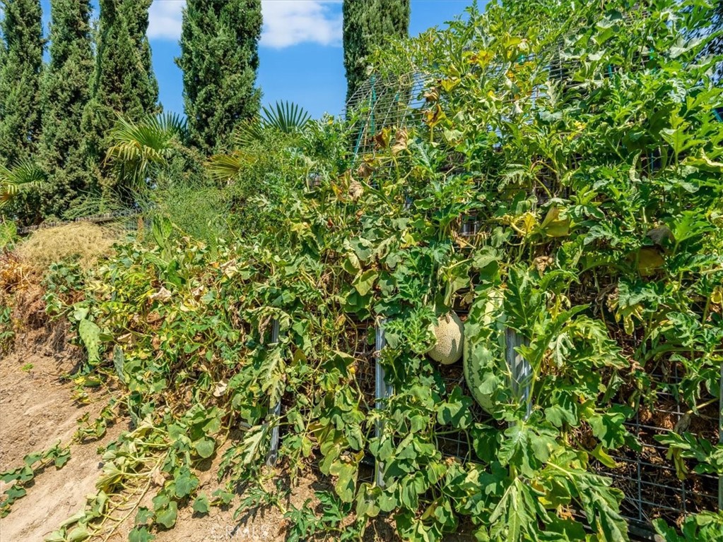 https://media.crmls.org/medias/3672fbea-57d6-441d-8372-d766c7f43f07.jpg?preset=X-Large