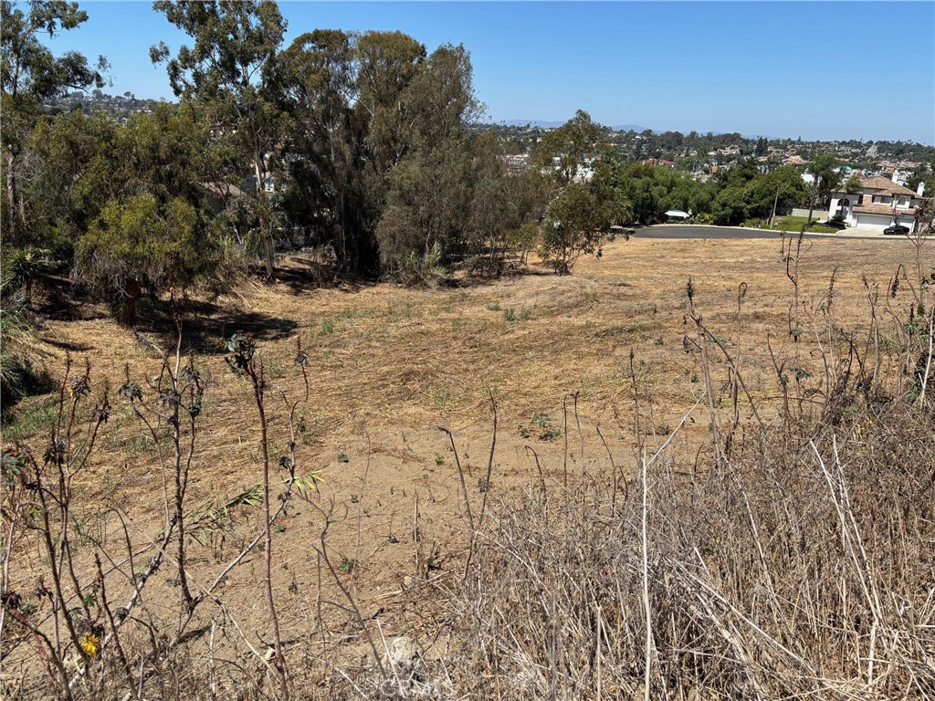 1937 Sunset Drive - photo 5
