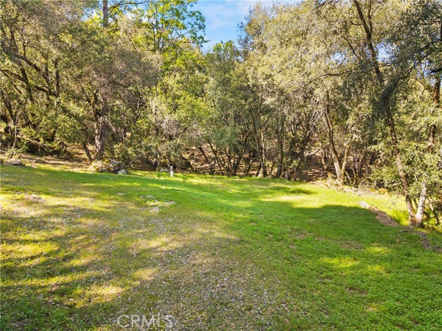 Detail Gallery Image 21 of 32 For 1371 Moccasin Trl, Placerville,  CA 95667 - – Beds | – Baths