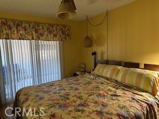 19220 Maywood Street, Bloomington CA: https://media.crmls.org/medias/367fbfa4-c9b0-4f0b-8c7c-dc2824e93aec.jpg