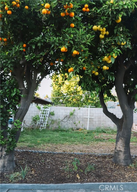 Detail Gallery Image 35 of 39 For 1130 Wesley, Pasadena,  CA 91104 - 3 Beds | 3 Baths