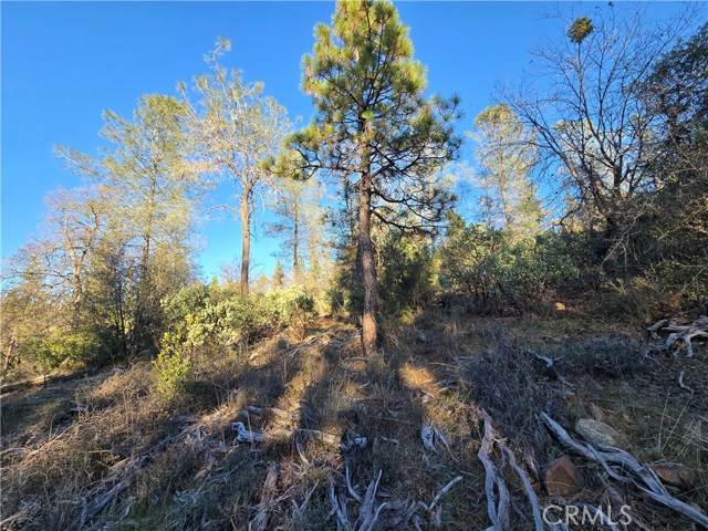 Detail Gallery Image 29 of 34 For 0 Double Eagle Way, Brownsville,  CA 95919 - – Beds | – Baths