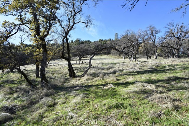 Detail Gallery Image 36 of 60 For 1193 Oregon Gulch Rd, Oroville,  CA 95965 - – Beds | – Baths