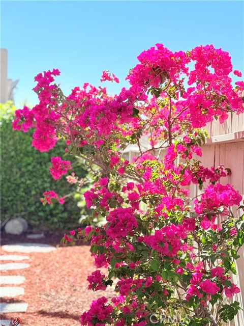 Detail Gallery Image 45 of 50 For 22141 Comanche, Lake Forest,  CA 92630 - 4 Beds | 2/1 Baths