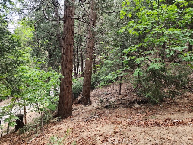 Detail Gallery Image 14 of 58 For 1023 Mercury, Crestline,  CA 92325 - 2 Beds | 1 Baths