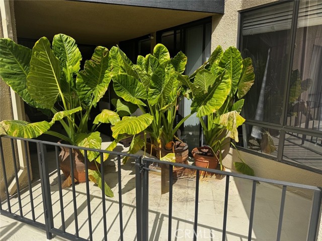 Detail Gallery Image 25 of 36 For 7320 Hawthorn #106 Ave #106,  Los Angeles,  CA 90046 - 2 Beds | 2 Baths