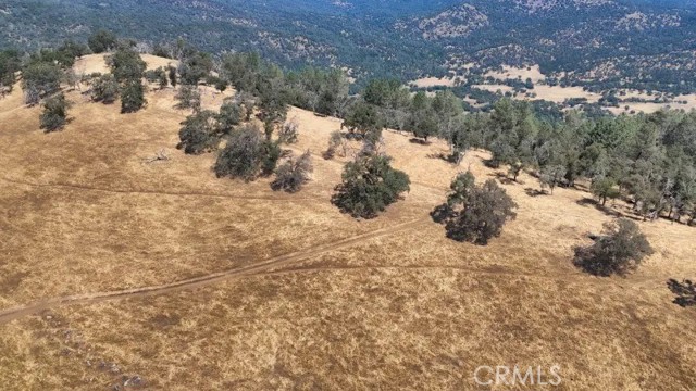 Detail Gallery Image 10 of 20 For 0 Mountain View Peak Road, O Neals,  CA 93653 - – Beds | – Baths