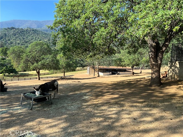 Detail Gallery Image 52 of 61 For 27513 Deer Creek Way, Keene,  CA 93531 - 4 Beds | 4/1 Baths