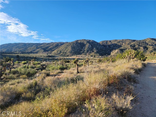 300 E Z12 Street, Llano CA: https://media.crmls.org/medias/36a1123e-9312-48be-96a3-452c49f96478.jpg