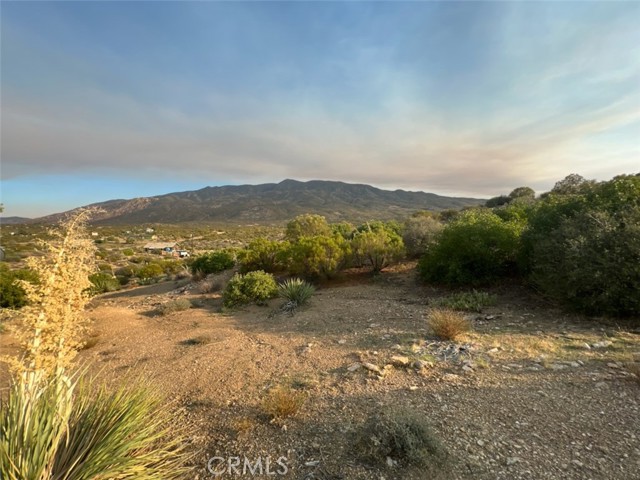 Detail Gallery Image 35 of 59 For 68080 Glacier Pass, Mountain Center,  CA 92561 - 1 Beds | 1 Baths