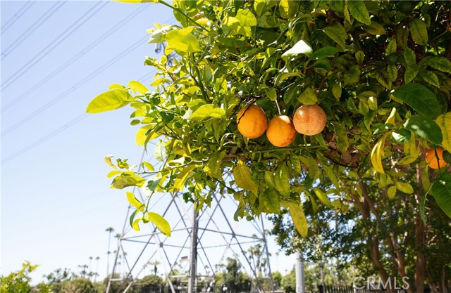 Detail Gallery Image 17 of 23 For 1203 W Laster Ave, Anaheim,  CA 92802 - 4 Beds | 2 Baths