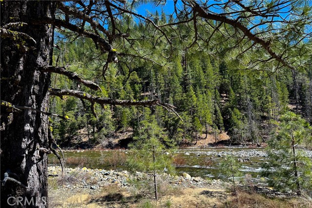 Detail Gallery Image 8 of 35 For 79402 State Highway 3, Trinity Center,  CA 96091 - – Beds | – Baths