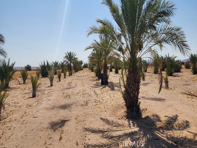 44624 Demmiel Road, Yermo CA: https://media.crmls.org/medias/36a924ce-7a24-4a5a-ae46-21dcb1e0d28b.jpg