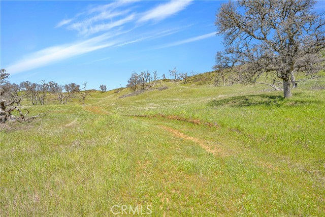 9250 Sky High Ridge Road, Lower Lake, California 95457, ,Land,For Sale,9250 Sky High Ridge Road,CRLC23060535