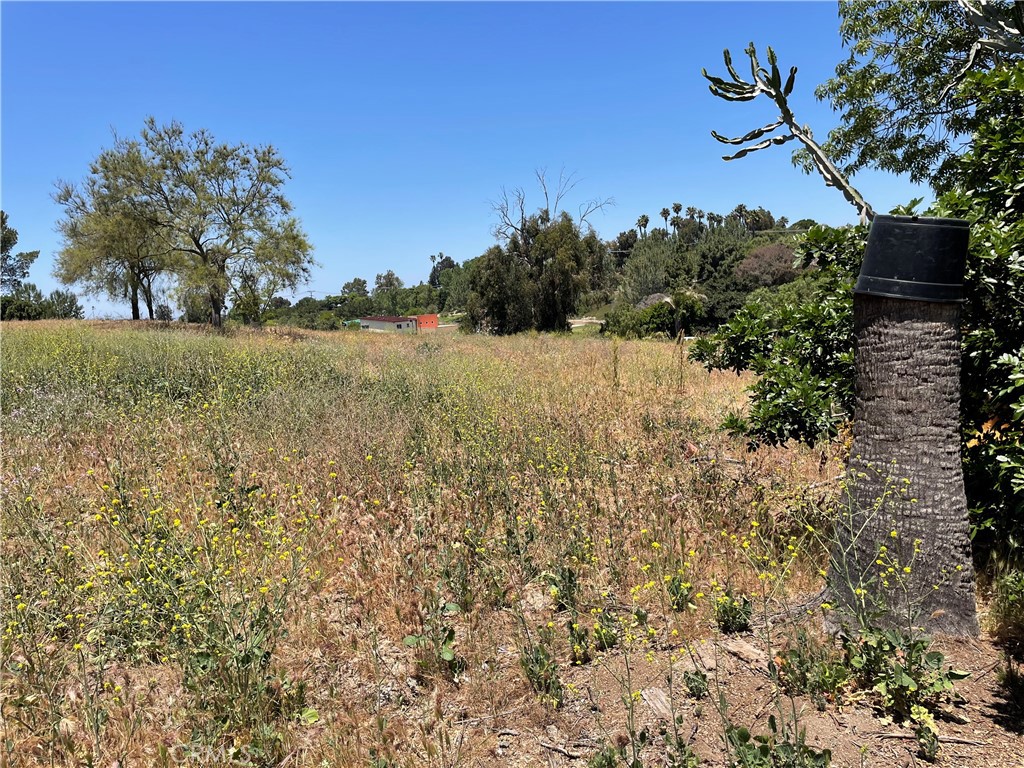 Linda Vista Drive - photo 13