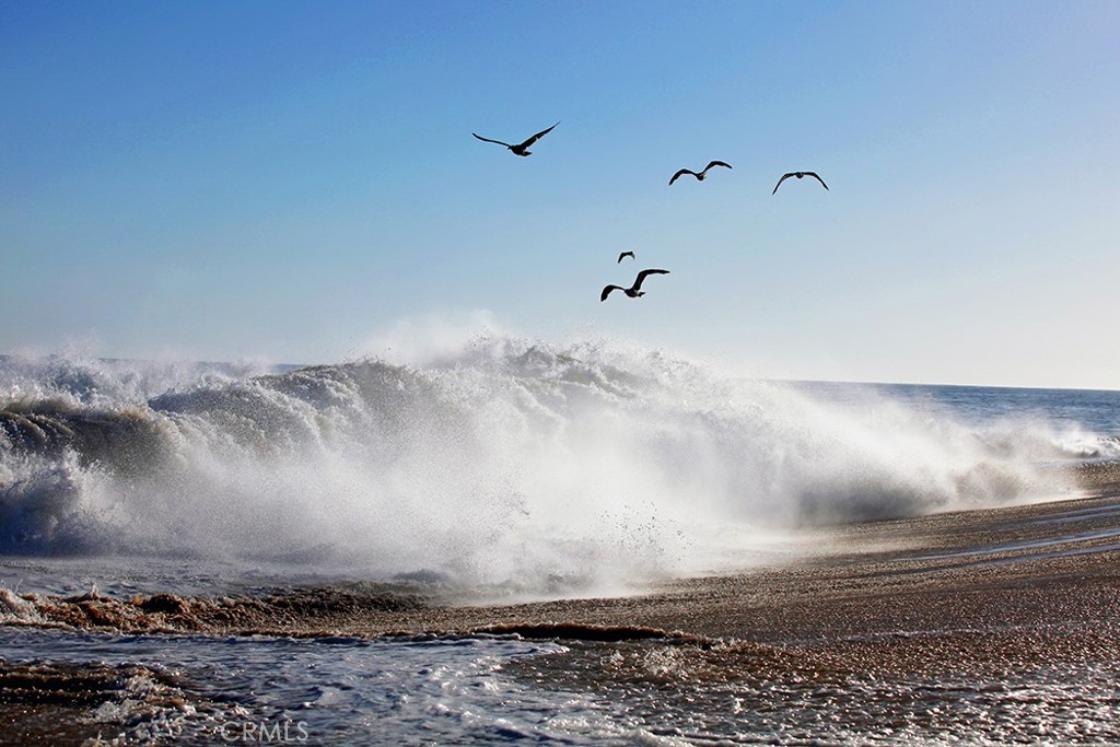 https://media.crmls.org/medias/36ad63ce-adfa-49a7-af11-efbb9224df84.jpg?preset=X-Large